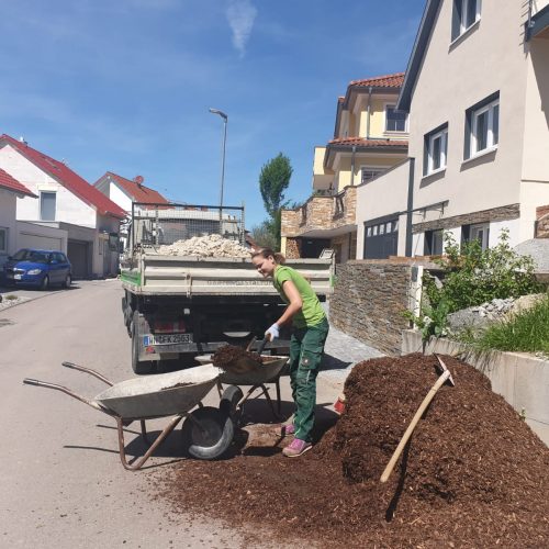 Kleibel-Gartenbau0425-WA0028