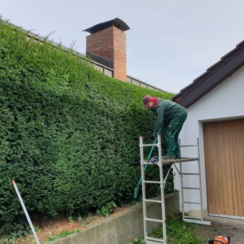 Kleibel-Gartenbau0924-WA0011